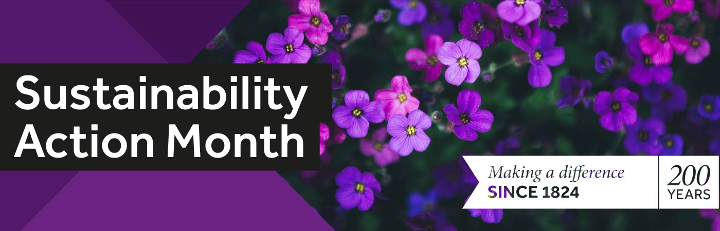 Sutainability Action Month copy on a purple flower background.